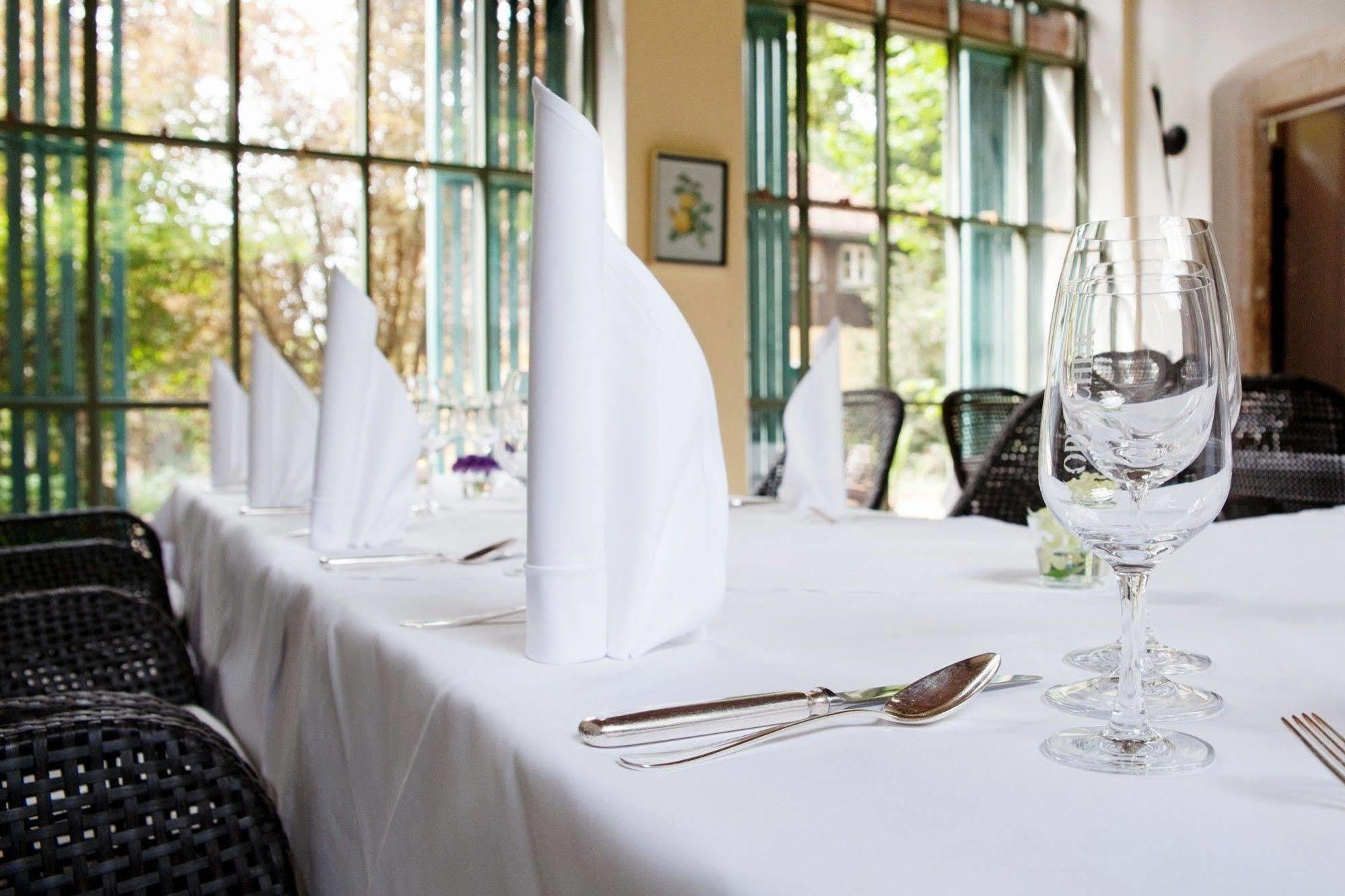 Hotel Villa Sorgenfrei & Restaurant Atelier Sanssouci Radebeul Exterior foto